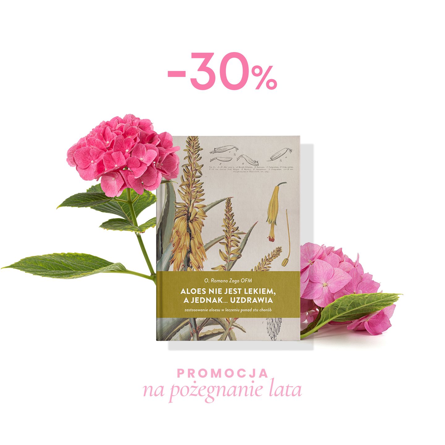 Aloes nie jest lekiem a jednak... uzdrawia PROMOCJA WAKACYJNA -30%