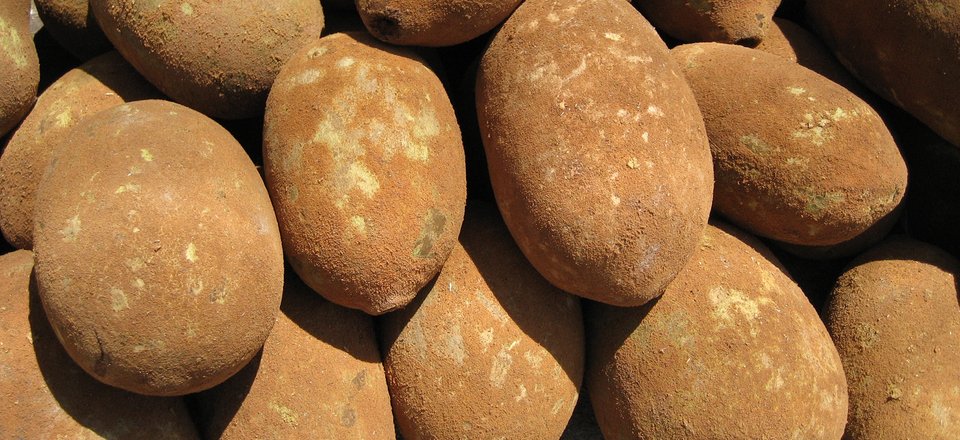Masło Cupuaçu - niezwykły naturalny tłuszcz, który wiąże wodę
